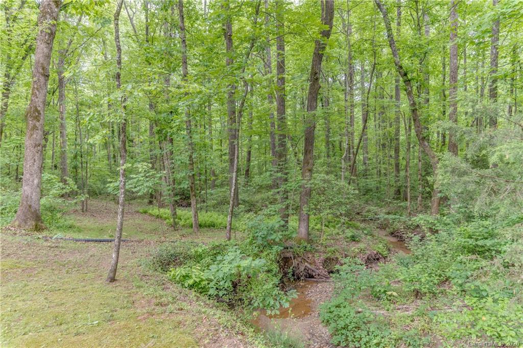 255 Beau Valley Road Tryon, NC 28782 - Photo 40 of 47