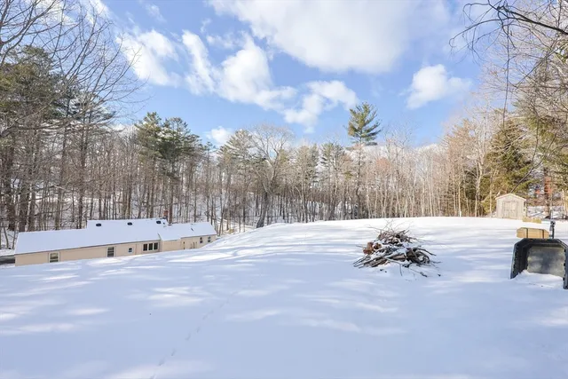 a view of large house with a large tree