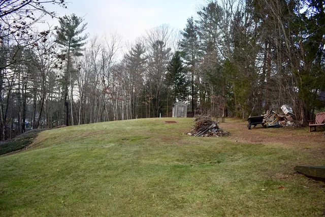 a big yard with trees