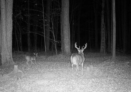 Ooo Snowshoe Road Wausau, WI 54403 - Photo 24 of 48
