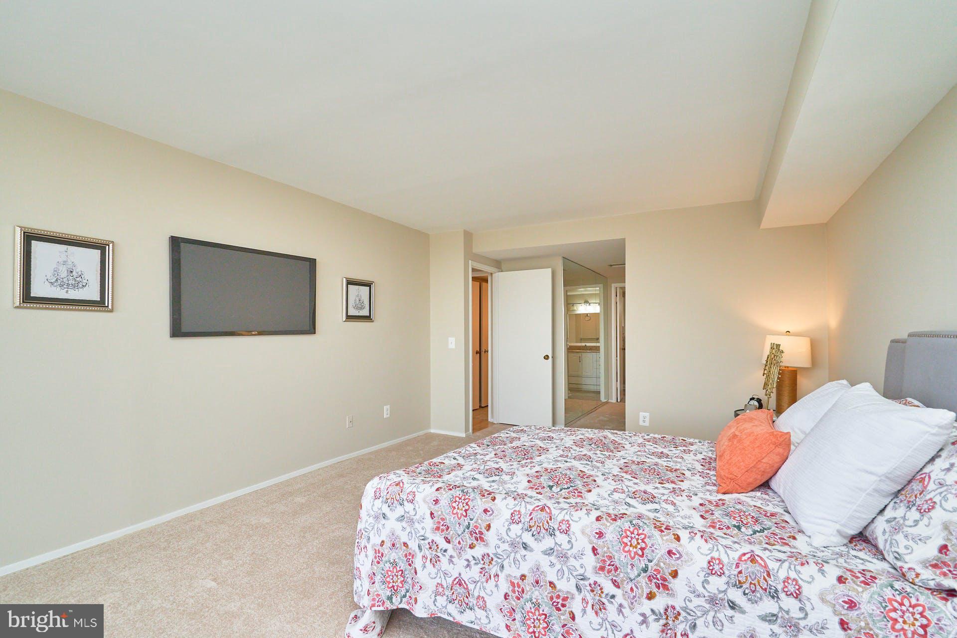 6101 Edsall Road, Unit 1707 Alexandria, VA 22304 - Photo 16 of 45 Primary Bedroom with new plush carpet