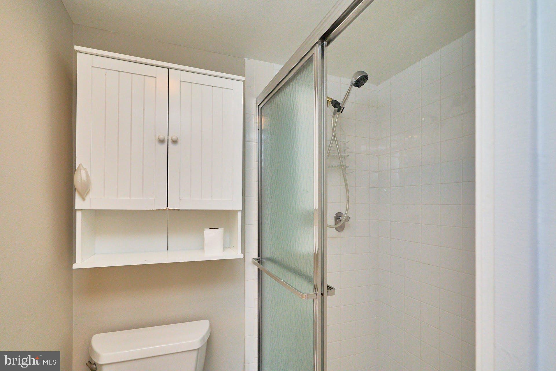 6101 Edsall Road, Unit 1707 Alexandria, VA 22304 - Photo 23 of 45 Hall Bathroom inc shower and water closet