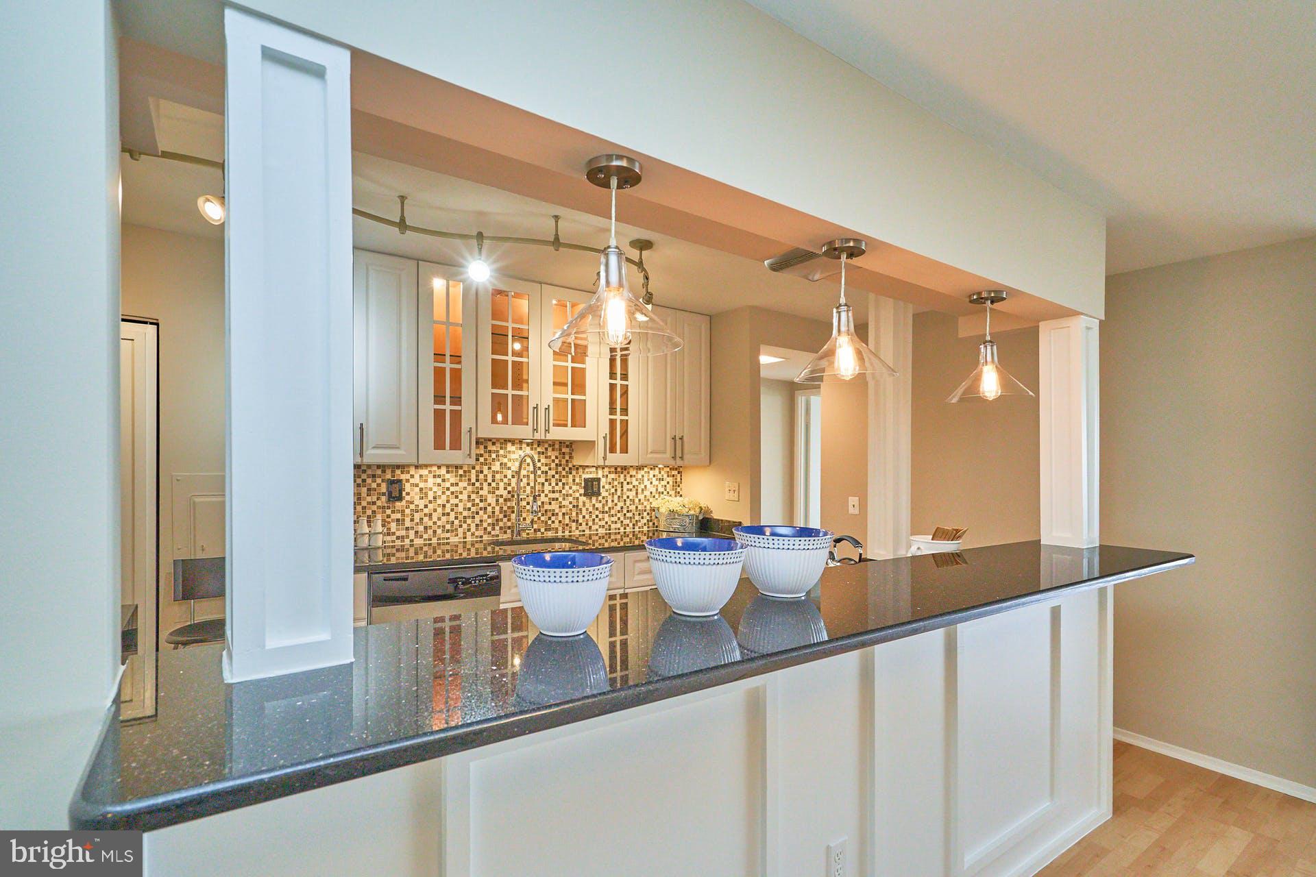 6101 Edsall Road, Unit 1707 Alexandria, VA 22304 - Photo 8 of 45 Decorative Pendant Lighting