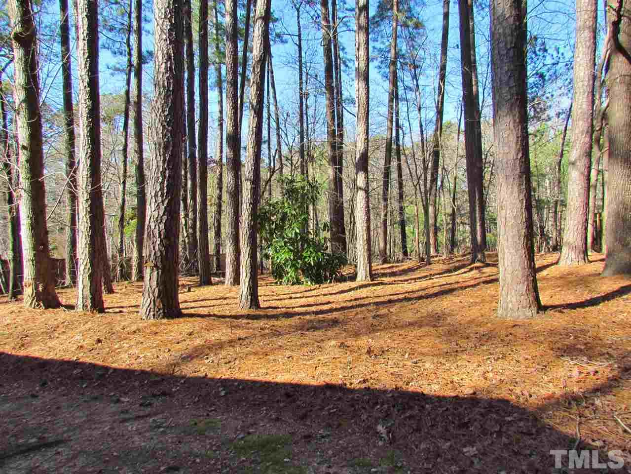 1016 Temple Street Raleigh, NC 27609 - Photo 22 of 30 Gallery Image 22