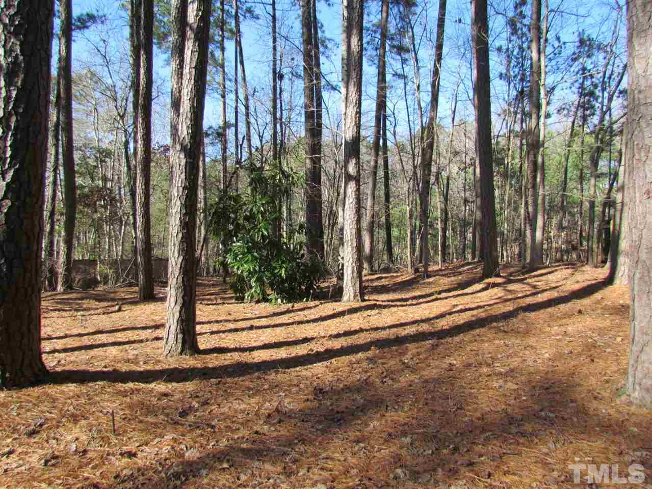 1016 Temple Street Raleigh, NC 27609 - Photo 26 of 30 Gallery Image 26