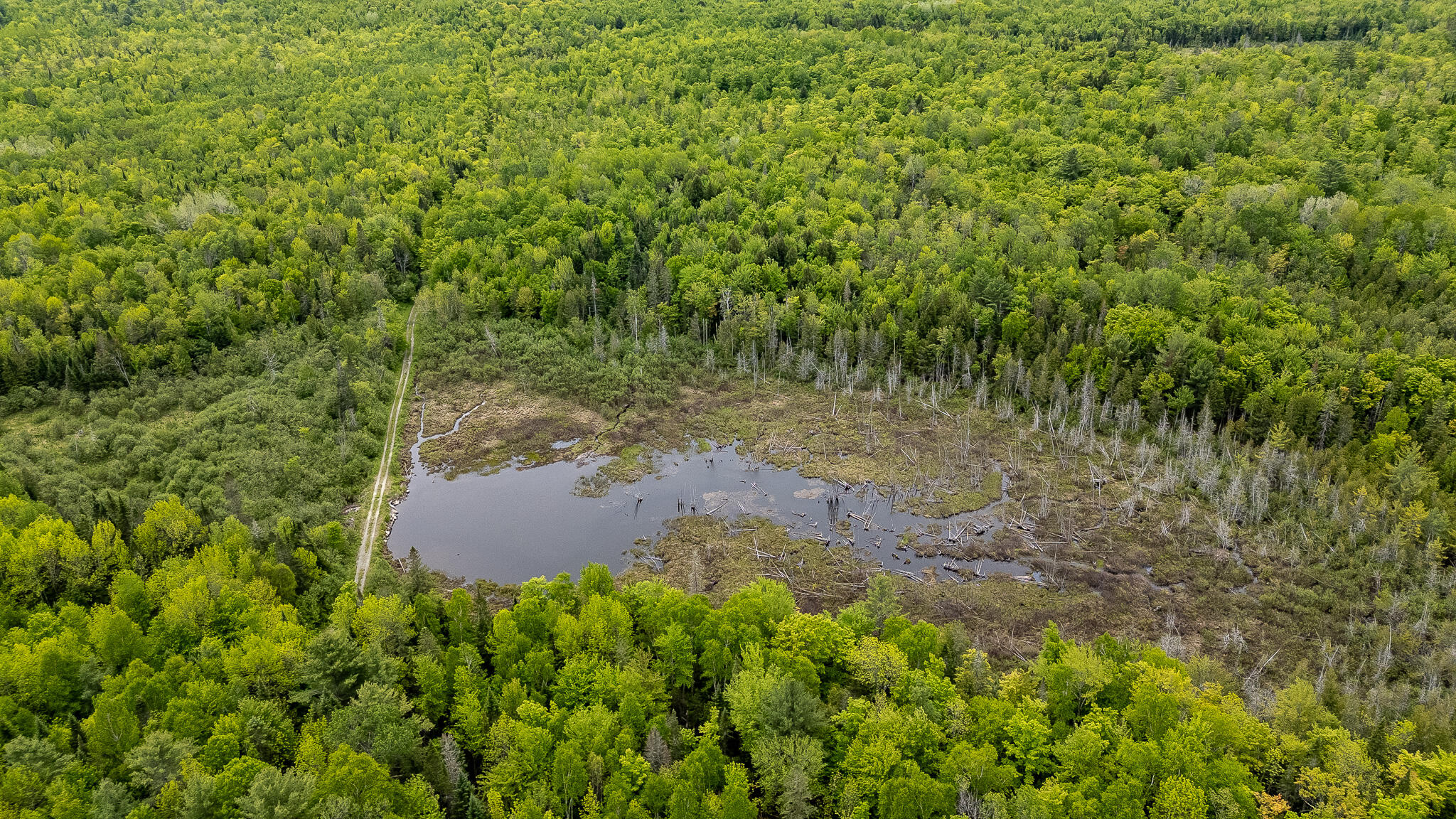 M5-l28 Cemetery Road Guilford, ME 04443 - Photo 55 of 58 DJI_20260602112135_0484_D