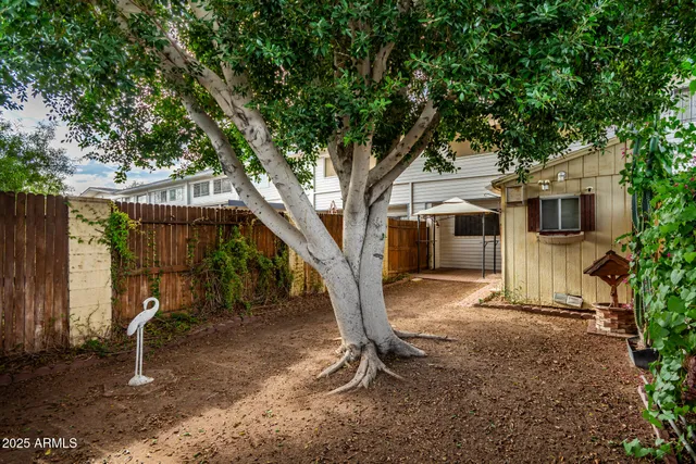 a tree in front of a white house