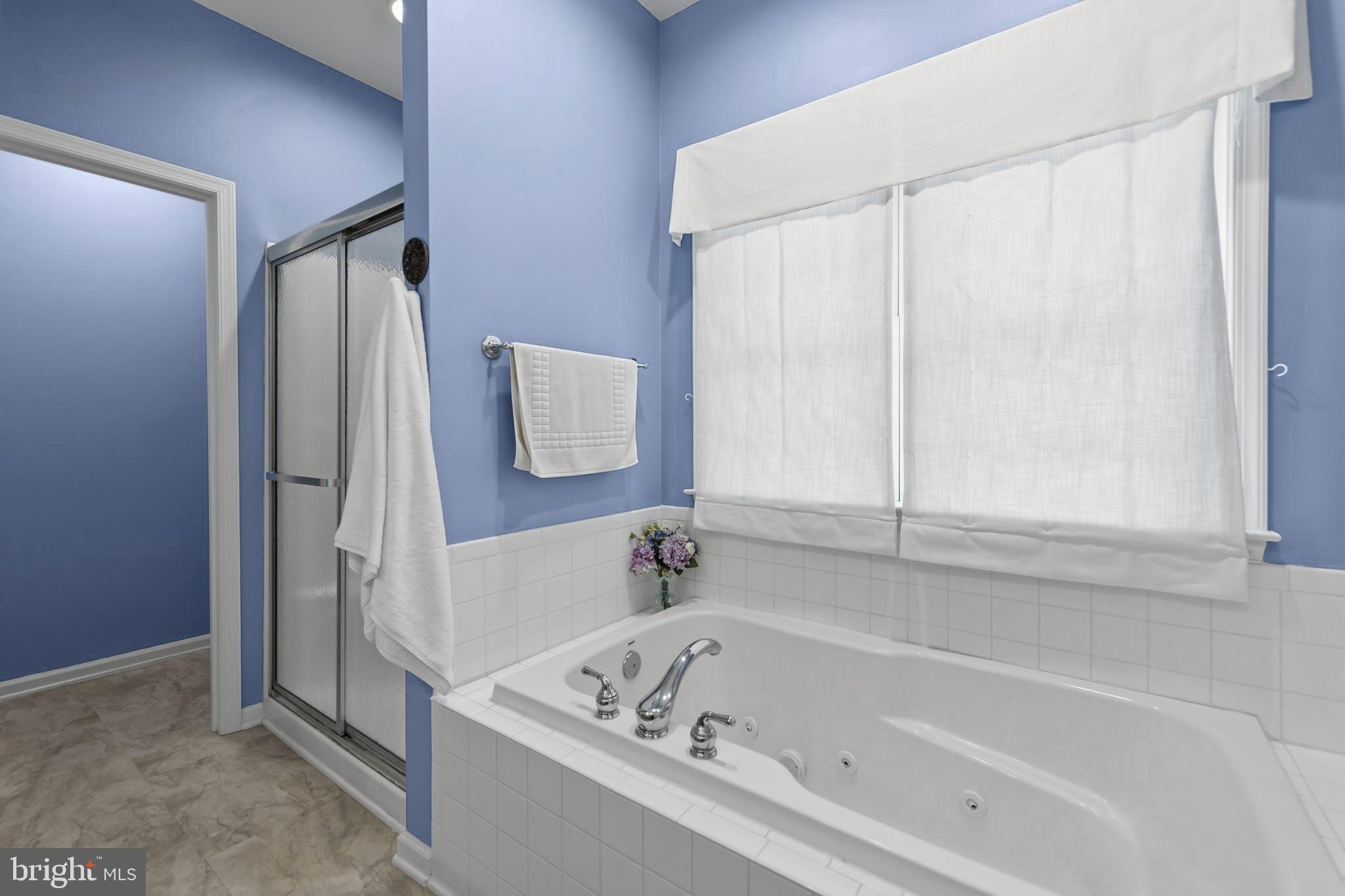 107 Sunset Circle Cross Junction, VA 22625 - Photo 22 of 35 Jetted tub