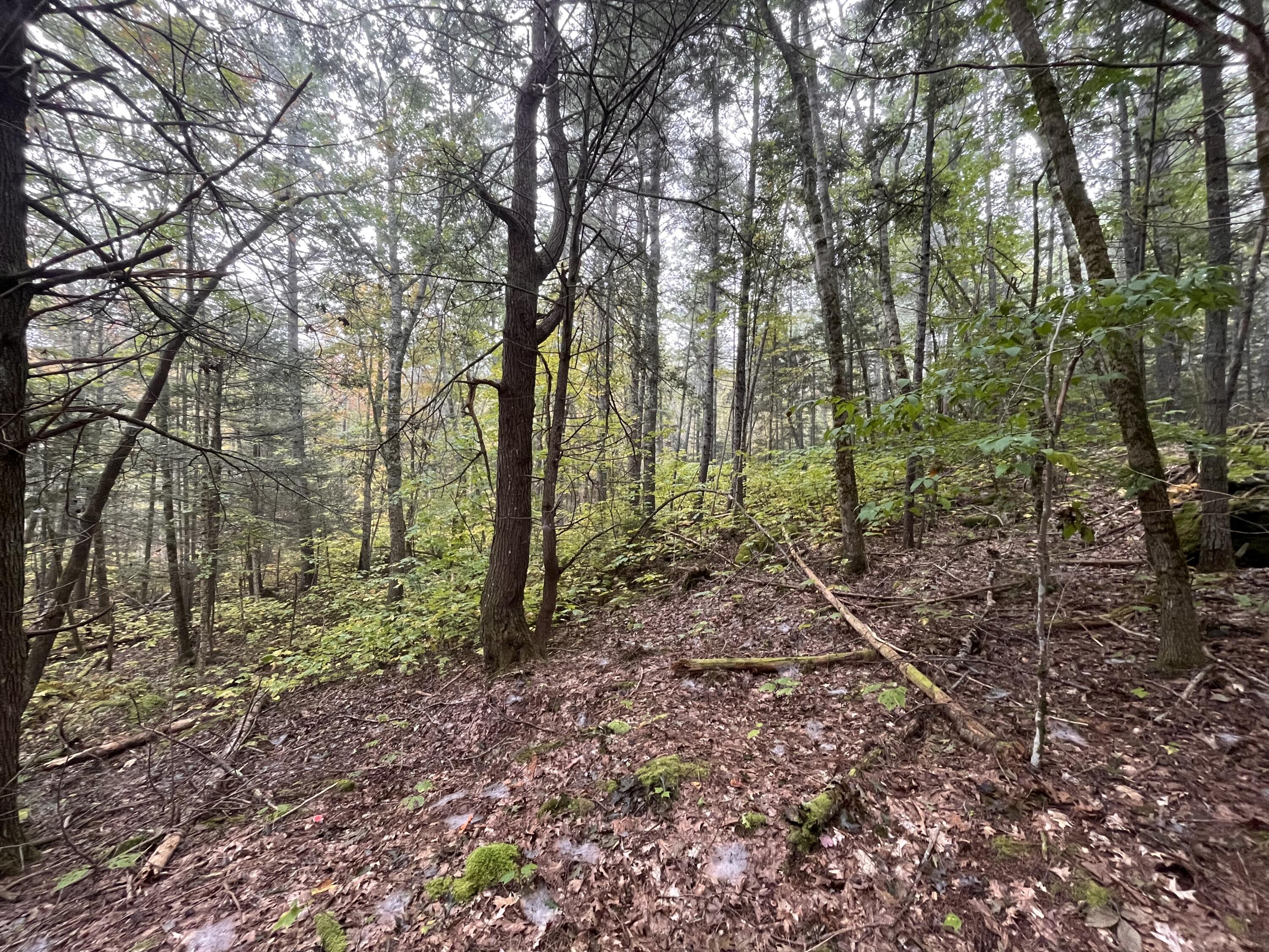 Lot 83 Black Spruce Road Bristol, ME 04539 - Photo 15 of 22 61BA4124-082F-488B-8ED5-E764A705CDE3