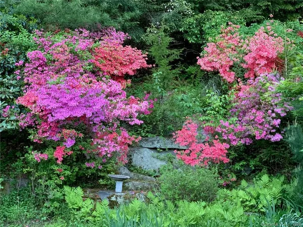 a view of a flower in a garden