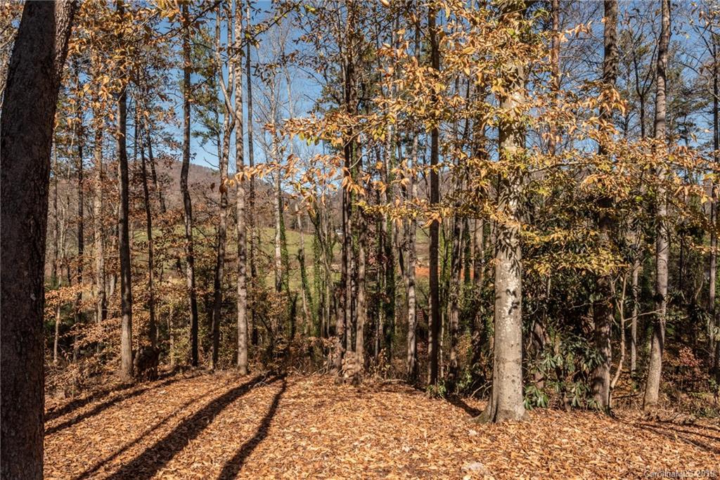 53 Parrot Road, Unit 7 Candler, NC 28715 - Photo 40 of 41 Gallery Image 40