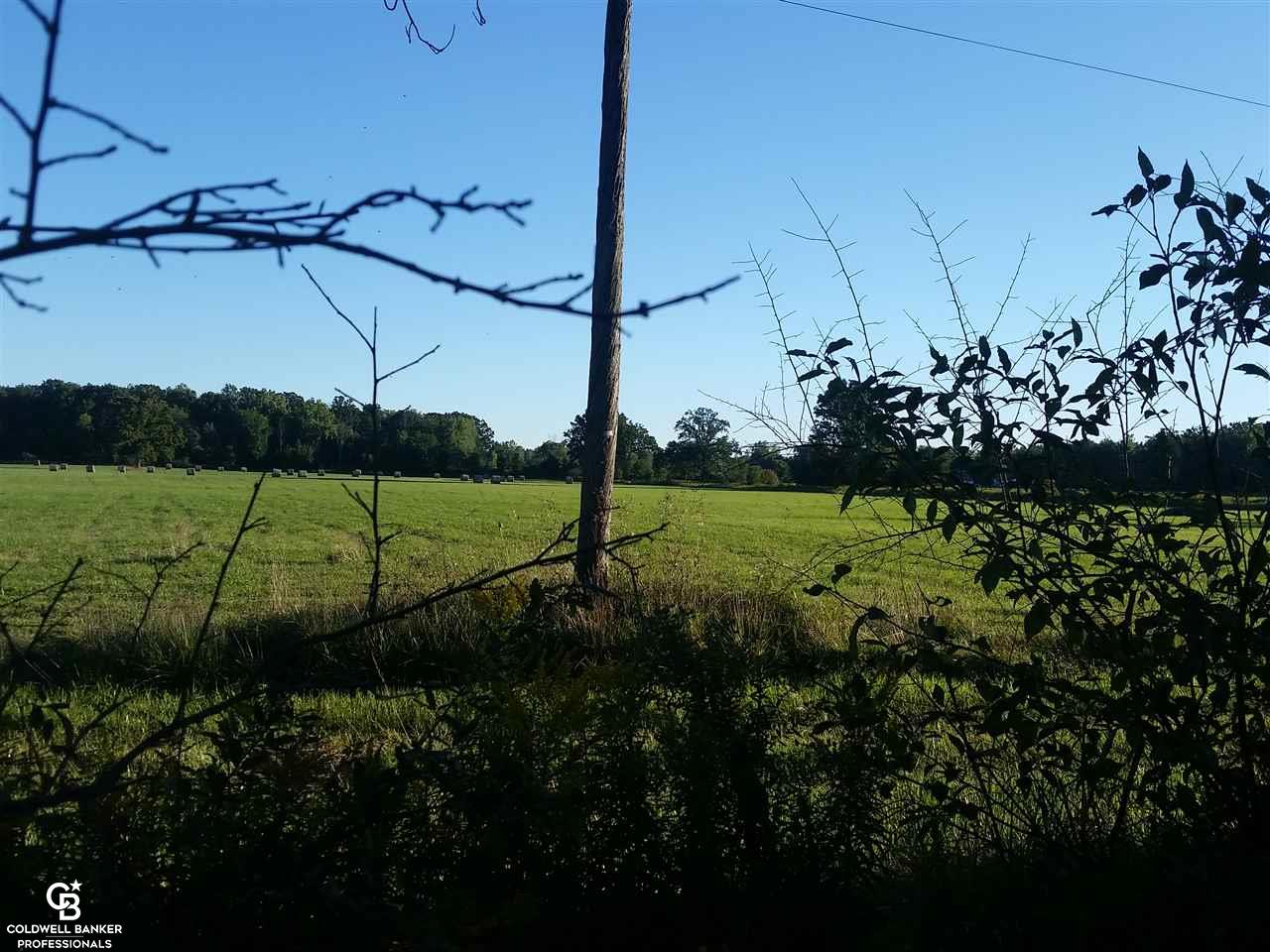 0 Card Road Goodells, MI 48027 - Photo 2 of 5