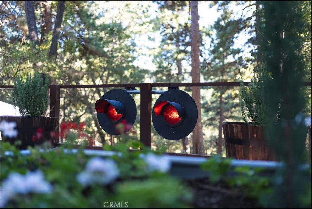 21875 Sawpit Canyon Road Cedarpines Park, CA 92322 - Photo 11 of 40