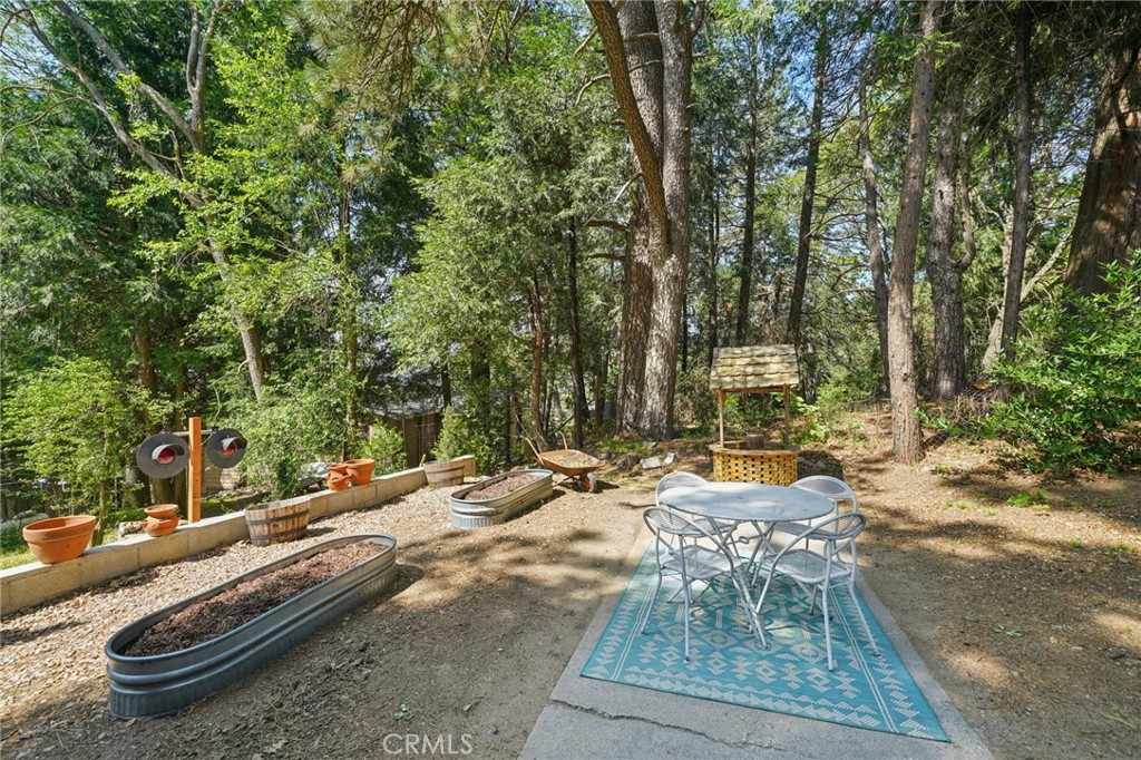 21875 Sawpit Canyon Road Cedarpines Park, CA 92322 - Photo 31 of 40