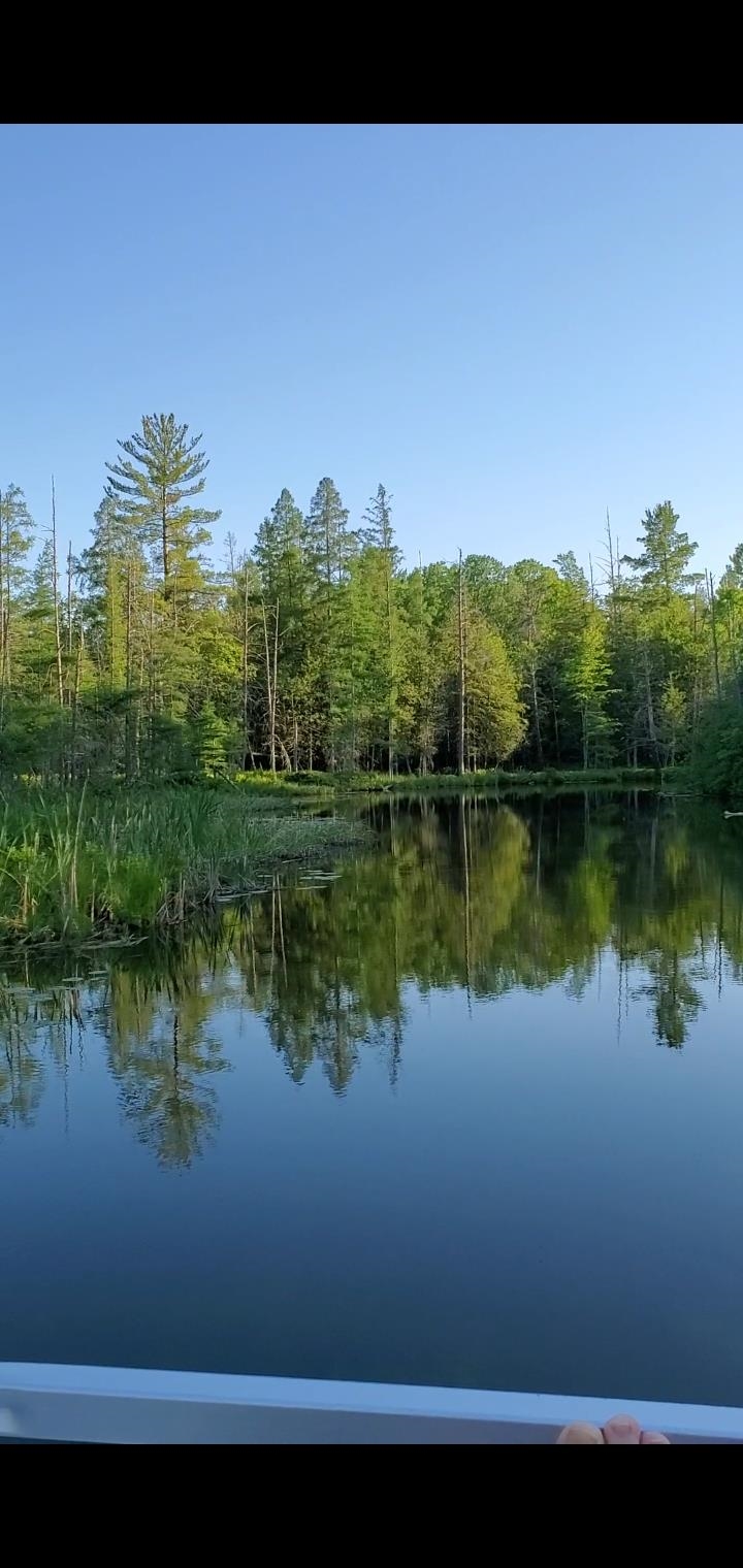 4025 Jeri Road Interlochen, MI 49643 - Photo 32 of 44