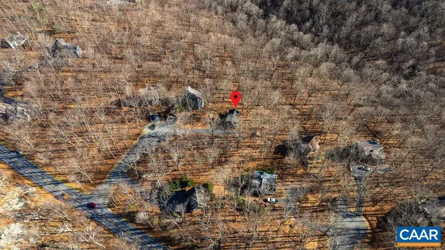 a street view with large trees