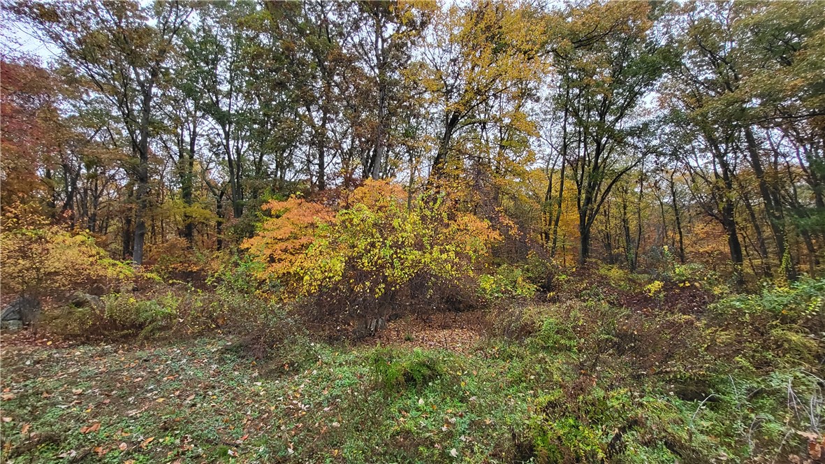 75 Rowe Drive Cranston, RI 02921 - Photo 8 of 14