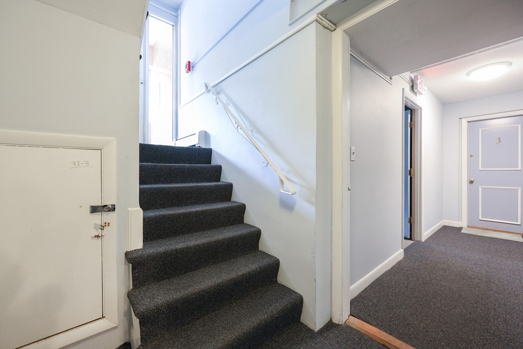 79 Walnut Street, Unit 3 Newton, MA 02460 - Photo 3 of 18 Gallery Image 3