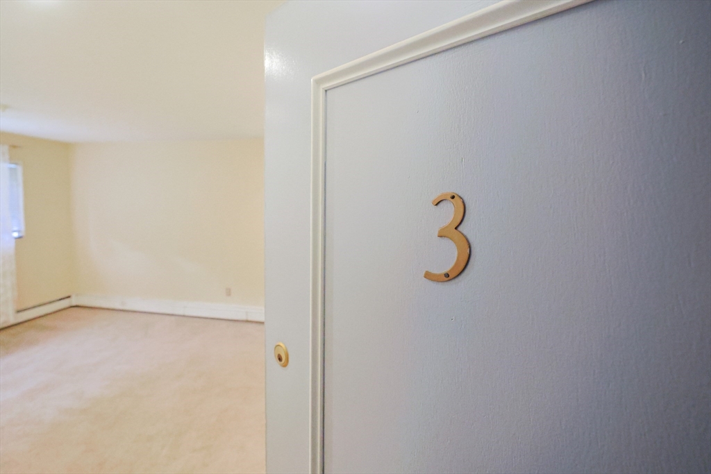 79 Walnut Street, Unit 3 Newton, MA 02460 - Photo 4 of 18 Gallery Image 4