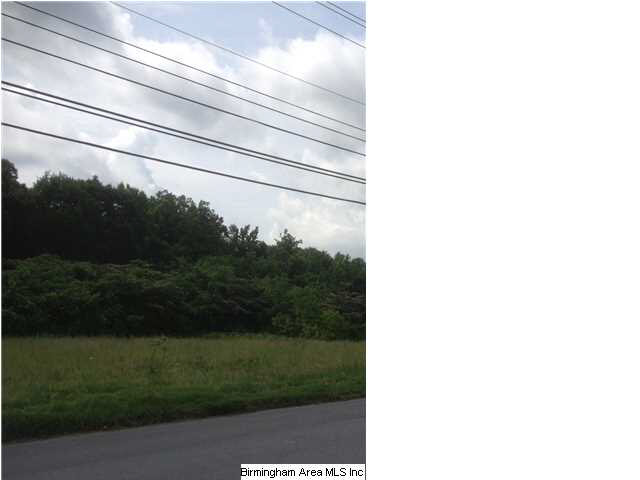 75 Highway 75, Unit 3 Ashville, AL 35953 - Photo 3 of 3