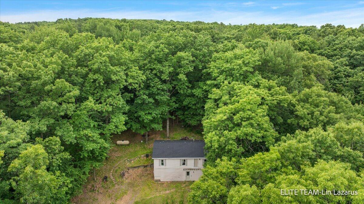 6718 Schmeid Road Lakeview, MI 48850 - Photo 47 of 58