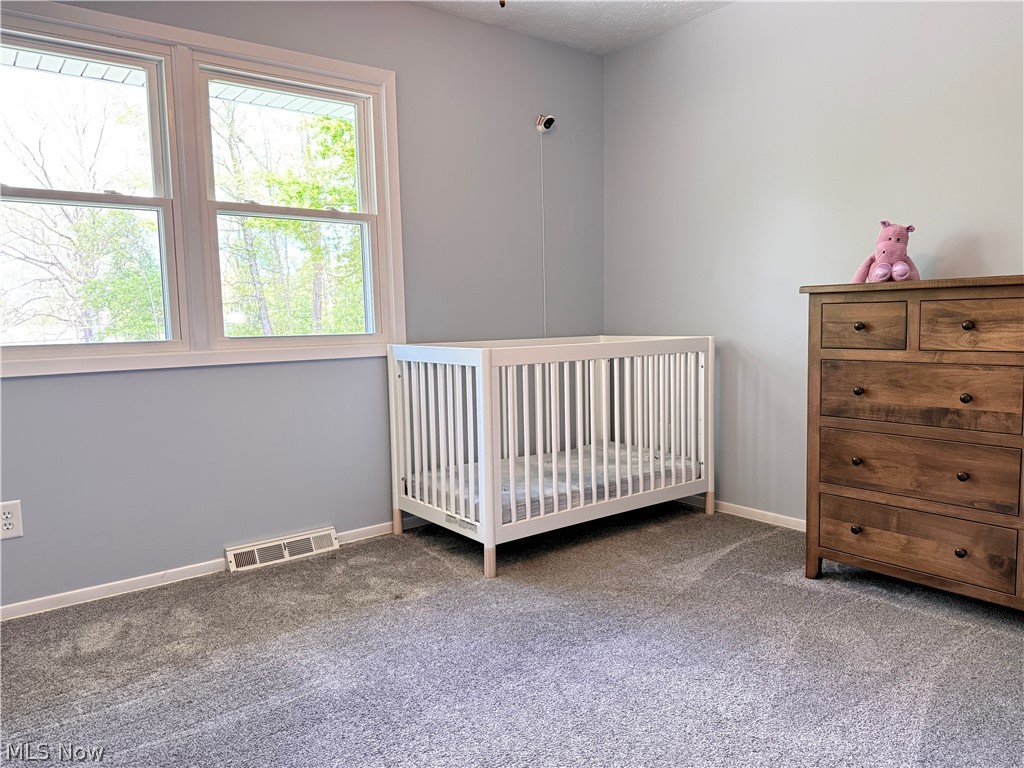 10239 Mulberry Road Chardon, OH 44024 - Photo 29 of 39