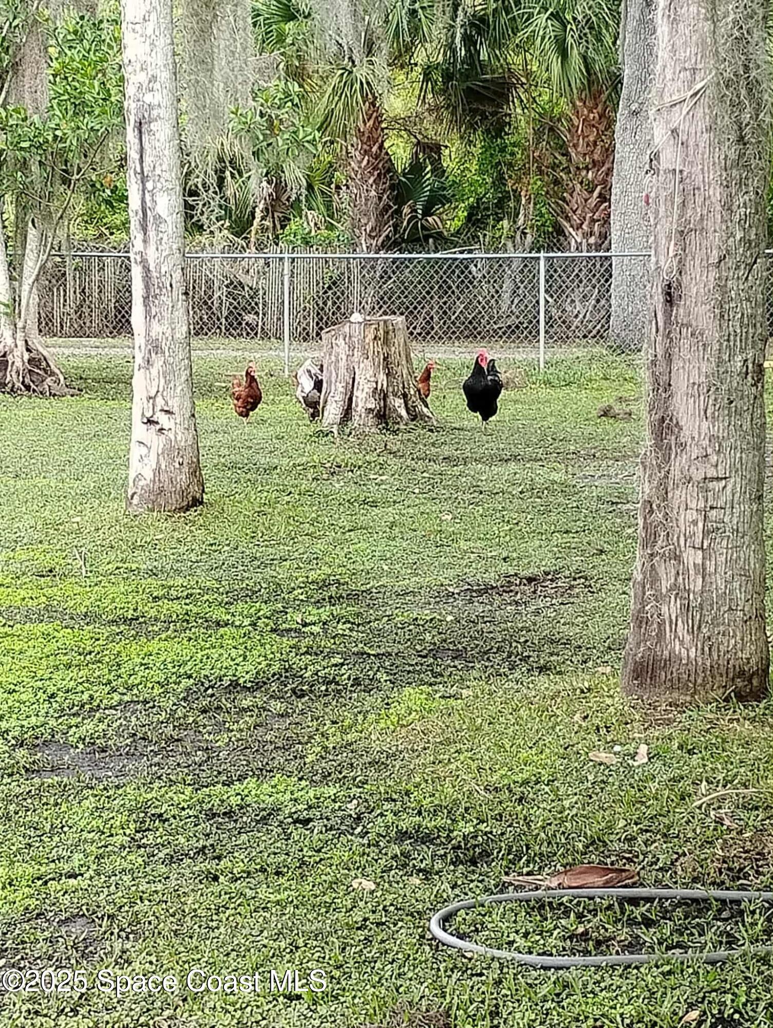 865 Pine Island Road Merritt Island, FL 32953 - Photo 45 of 77 a24684f4-4217-41ce-a44a-0fb64a443b40