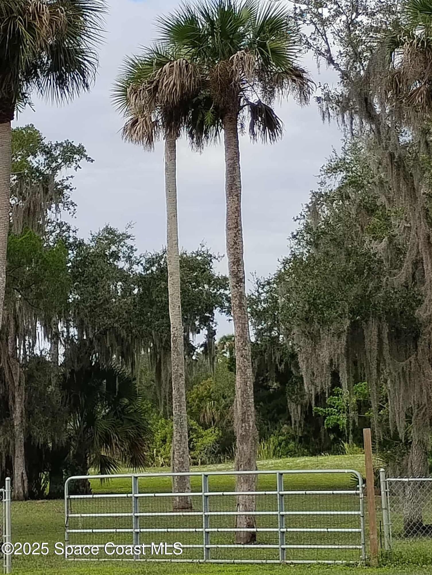 865 Pine Island Road Merritt Island, FL 32953 - Photo 47 of 77 ae14b275-23e2-4a88-a360-e4ef18573142