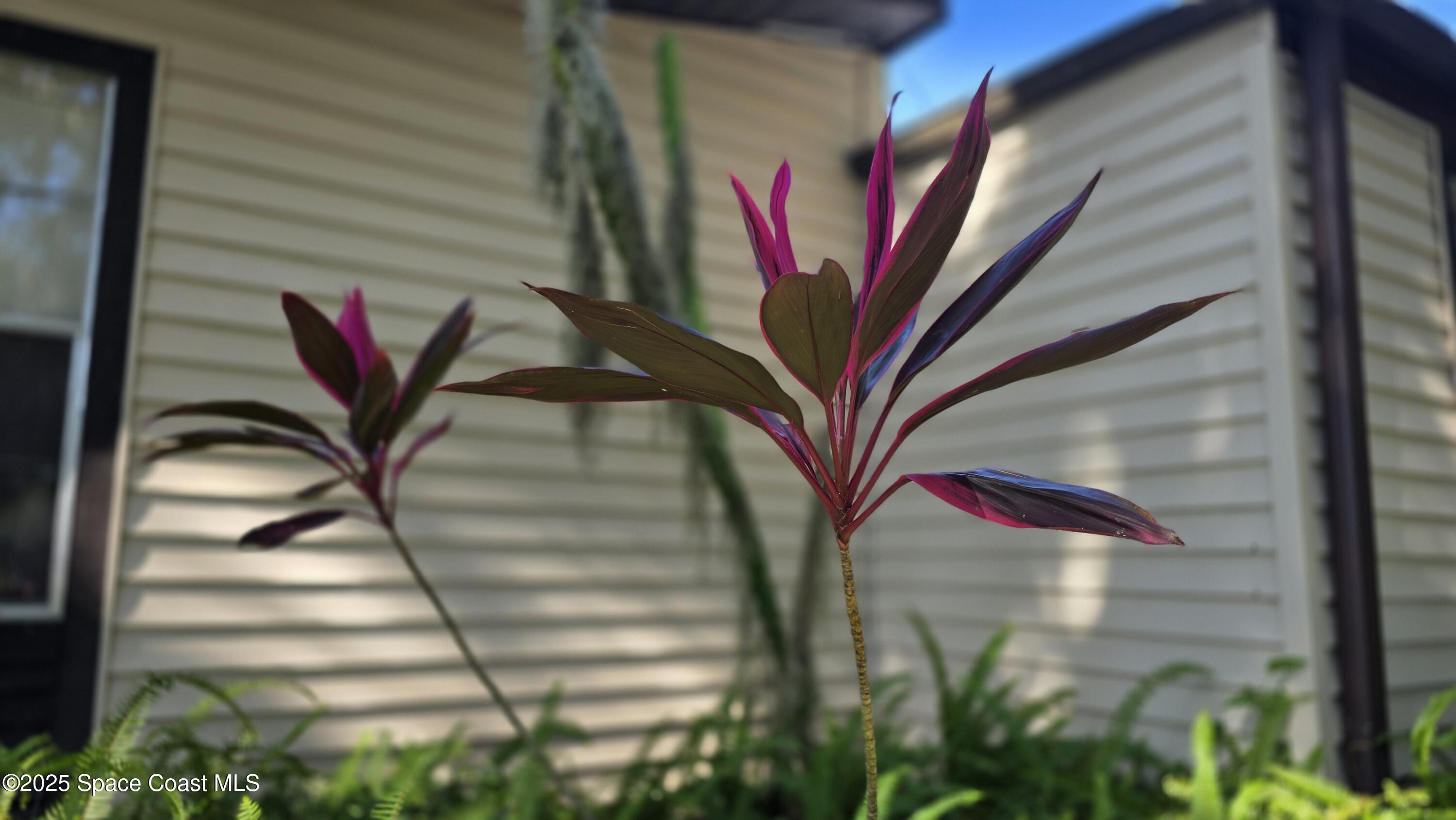 865 Pine Island Road Merritt Island, FL 32953 - Photo 9 of 77 20251118_110904