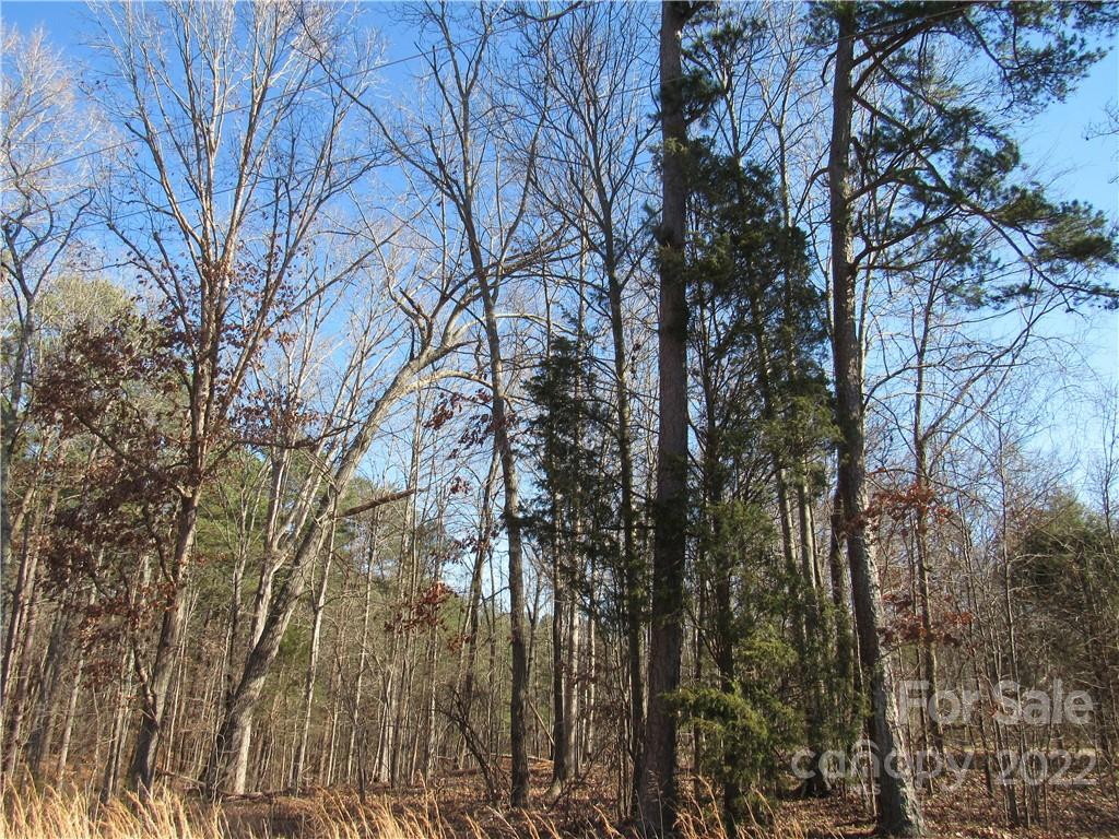 10000 Mt Olive Road Mount Pleasant, NC 28124 - Photo 13 of 20 Gallery Image 13