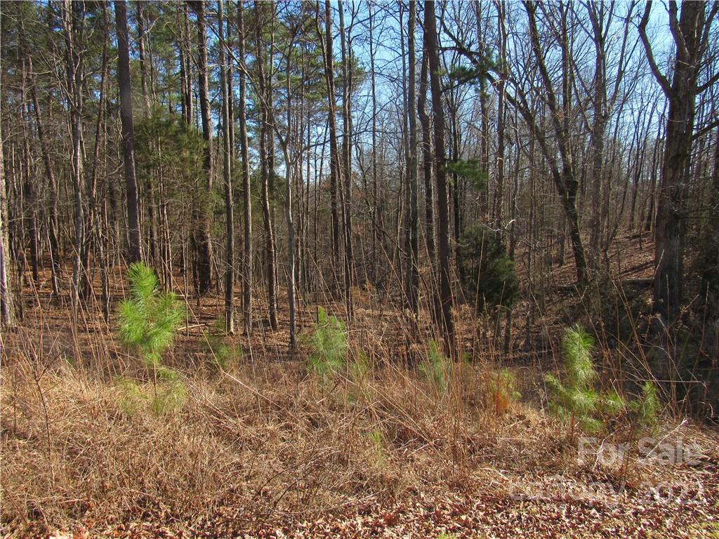 10000 Mt Olive Road Mount Pleasant, NC 28124 - Photo 14 of 20 Gallery Image 14