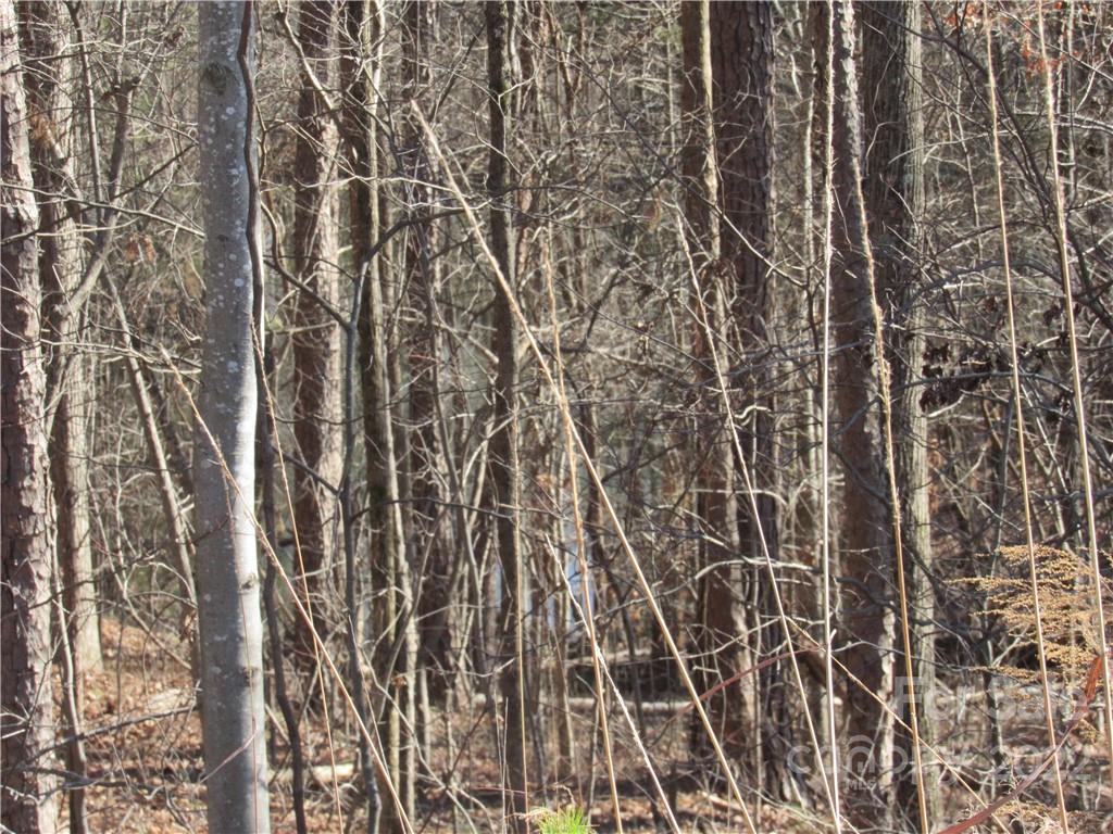 10000 Mt Olive Road Mount Pleasant, NC 28124 - Photo 15 of 20 Gallery Image 15