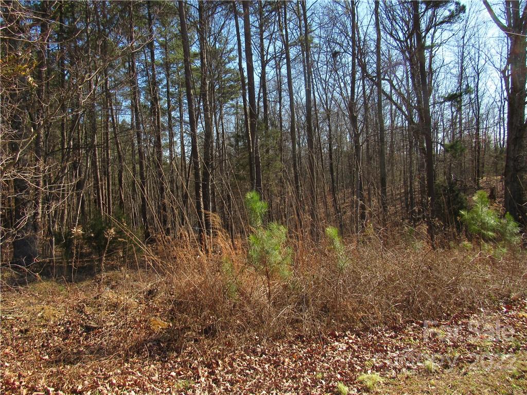 10000 Mt Olive Road Mount Pleasant, NC 28124 - Photo 17 of 20 Gallery Image 17