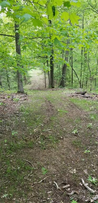 10000 Mt Olive Road Mount Pleasant, NC 28124 - Photo 19 of 20 Gallery Image 19