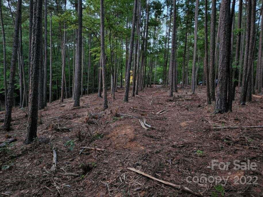 10000 Mt Olive Road Mount Pleasant, NC 28124 - Photo 20 of 20 Gallery Image 20