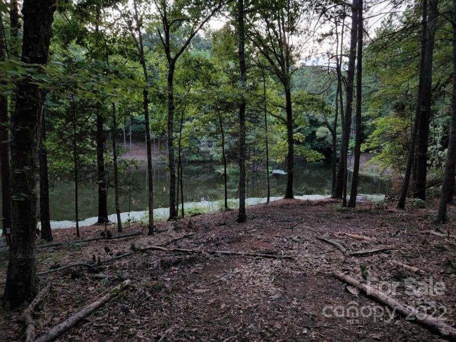 10000 Mt Olive Road Mount Pleasant, NC 28124 - Photo 2 of 20 Gallery Image 2