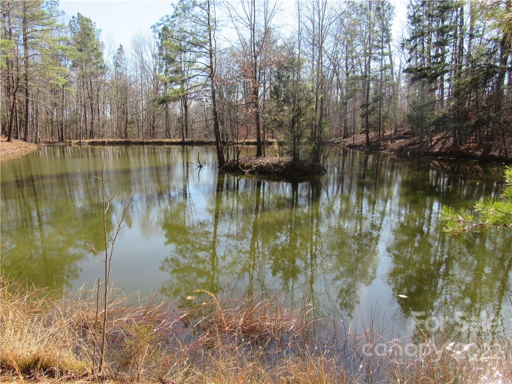 10000 Mt Olive Road Mount Pleasant, NC 28124 - Photo 3 of 20 Gallery Image 3