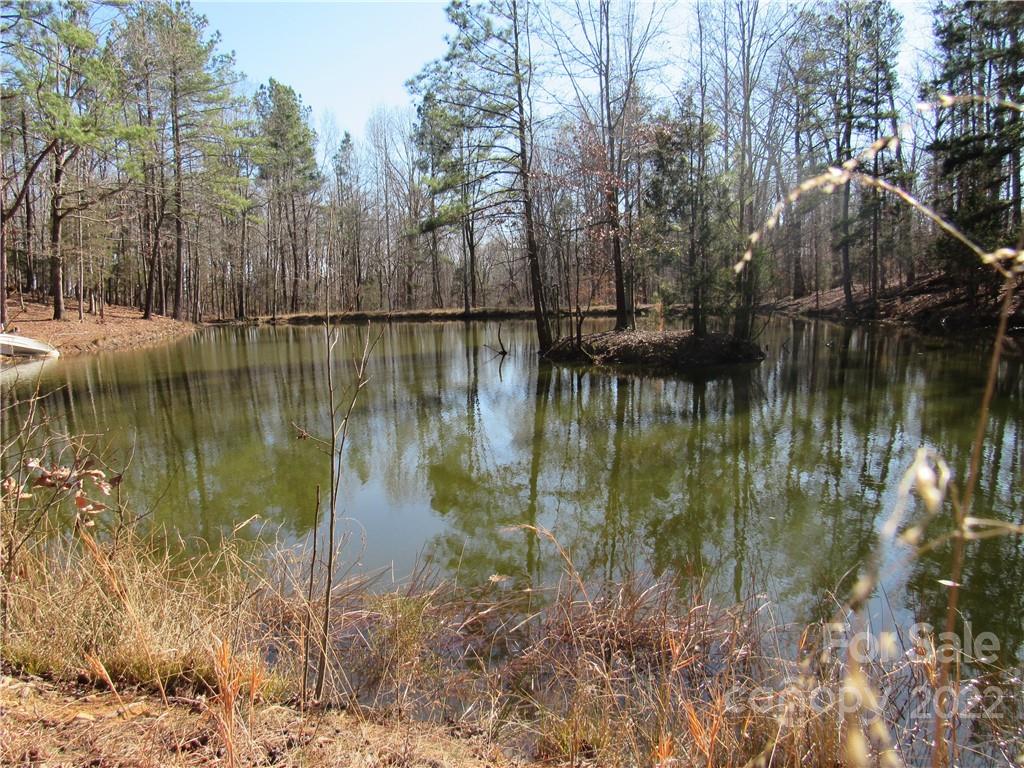 10000 Mt Olive Road Mount Pleasant, NC 28124 - Photo 5 of 20 Gallery Image 5