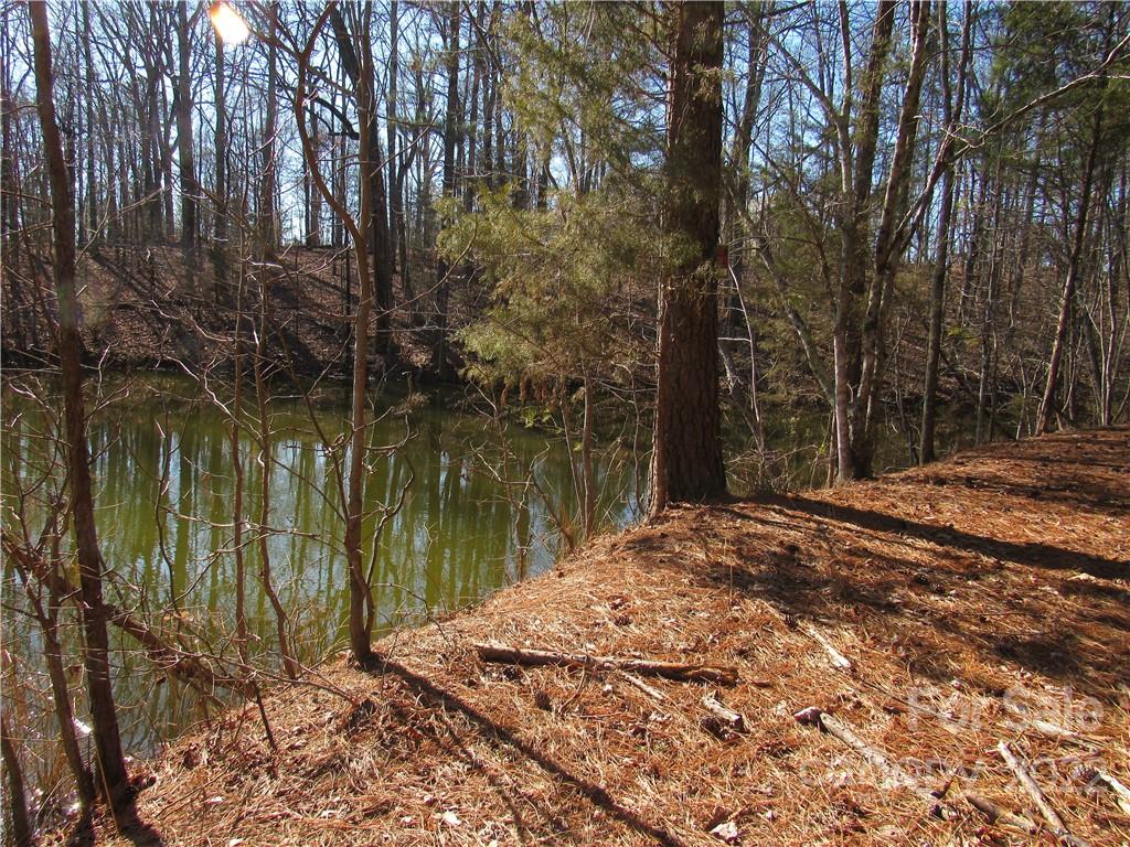 10000 Mt Olive Road Mount Pleasant, NC 28124 - Photo 6 of 20 Gallery Image 6