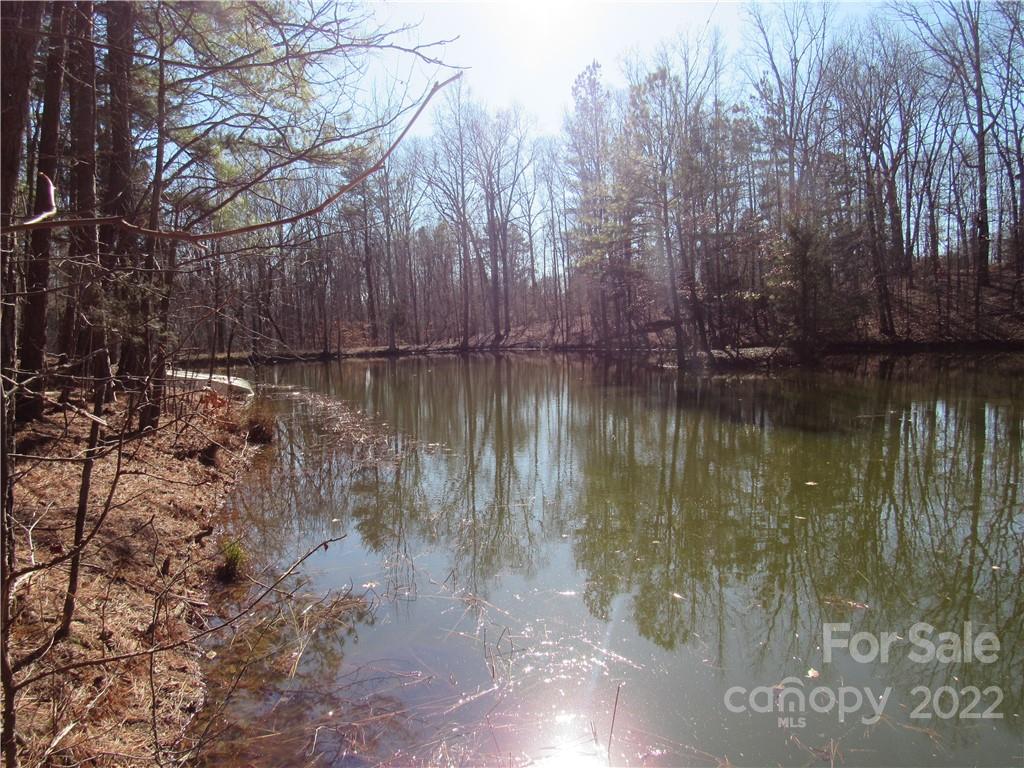 10000 Mt Olive Road Mount Pleasant, NC 28124 - Photo 7 of 20 Gallery Image 7