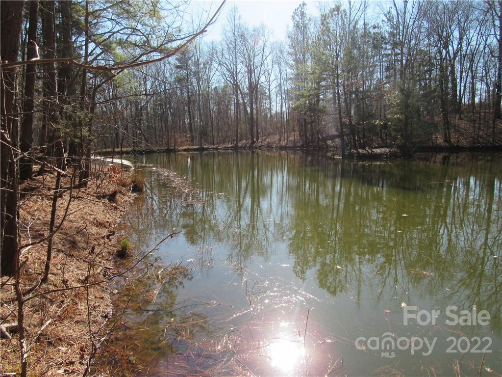 10000 Mt Olive Road Mount Pleasant, NC 28124 - Photo 8 of 20 Gallery Image 8