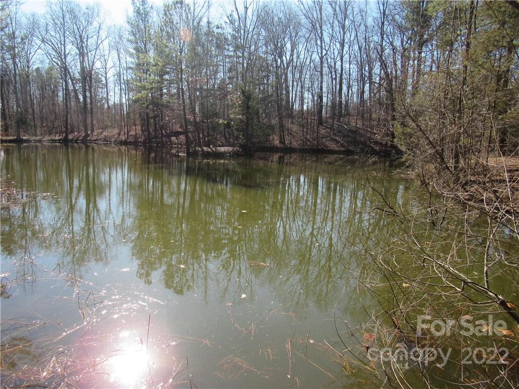 10000 Mt Olive Road Mount Pleasant, NC 28124 - Photo 9 of 20 Gallery Image 9