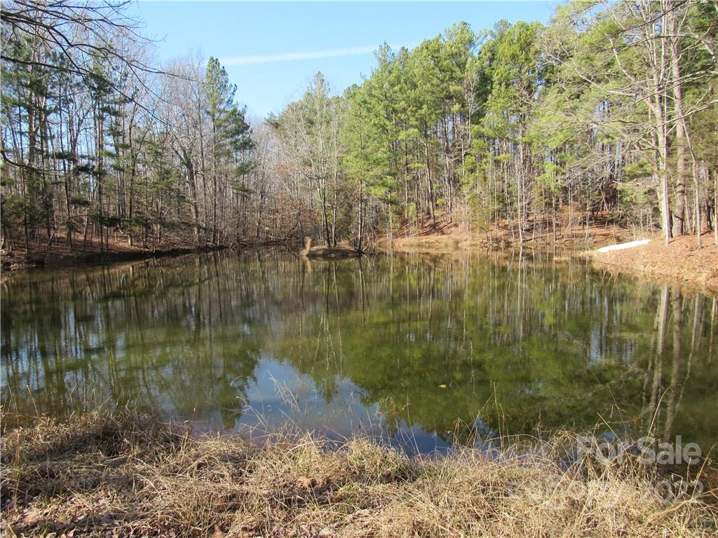 10000 Mt Olive Road Mount Pleasant, NC 28124 - Photo 10 of 20 Gallery Image 10