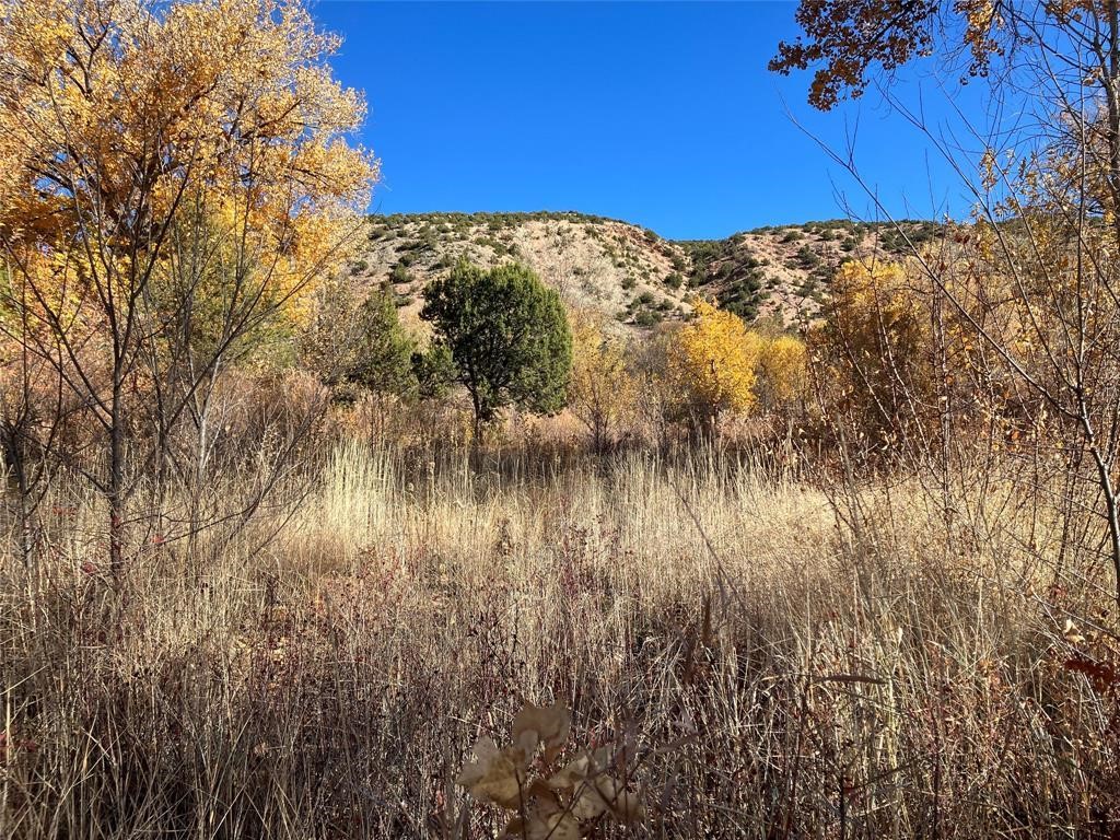 332 Juan Medina Road Chimayo, NM 87522 - Photo 16 of 17