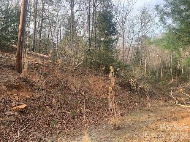 7.67-ac Holbert Cove Road, Unit 7 67 AC Saluda, NC 28773 - Photo 11 of 13 a view of a forest with trees in the background