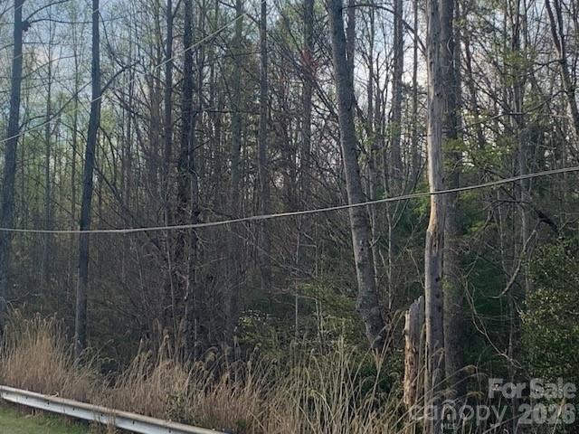 7.67-ac Holbert Cove Road, Unit 7 67 AC Saluda, NC 28773 - Photo 12 of 13 a view of a yard and mountain view