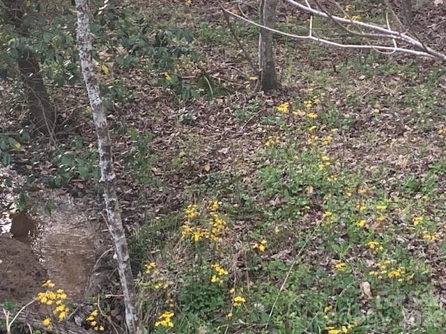 7.67-ac Holbert Cove Road, Unit 7 67 AC Saluda, NC 28773 - Photo 13 of 13 a view of a dry yard