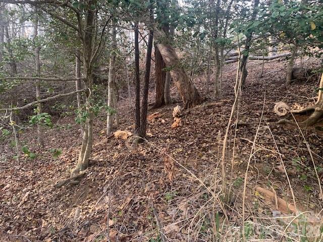 7.67-ac Holbert Cove Road, Unit 7 67 AC Saluda, NC 28773 - Photo 2 of 13 a view of a forest with a trees