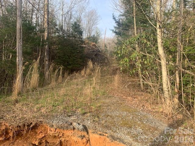 7.67-ac Holbert Cove Road, Unit 7 67 AC Saluda, NC 28773 - Photo 3 of 13 a view of a yard