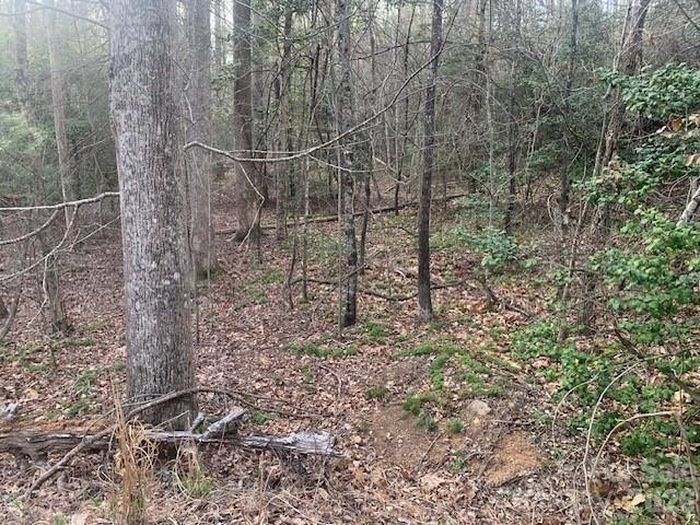 7.67-ac Holbert Cove Road, Unit 7 67 AC Saluda, NC 28773 - Photo 6 of 13 a view of a pathway with a yard